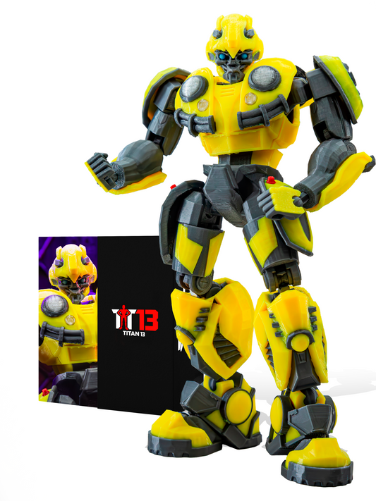 Bee T13