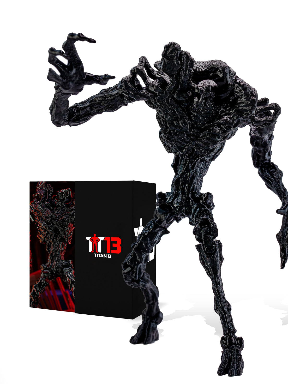 Bacteria Entity T13