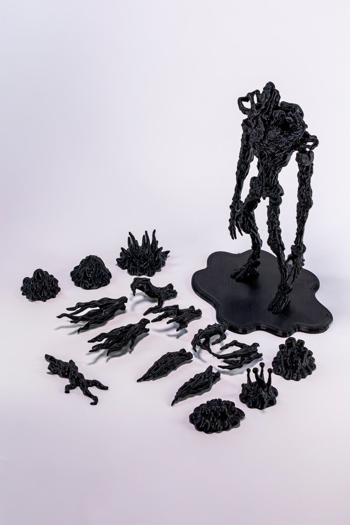 Bacteria Entity T13