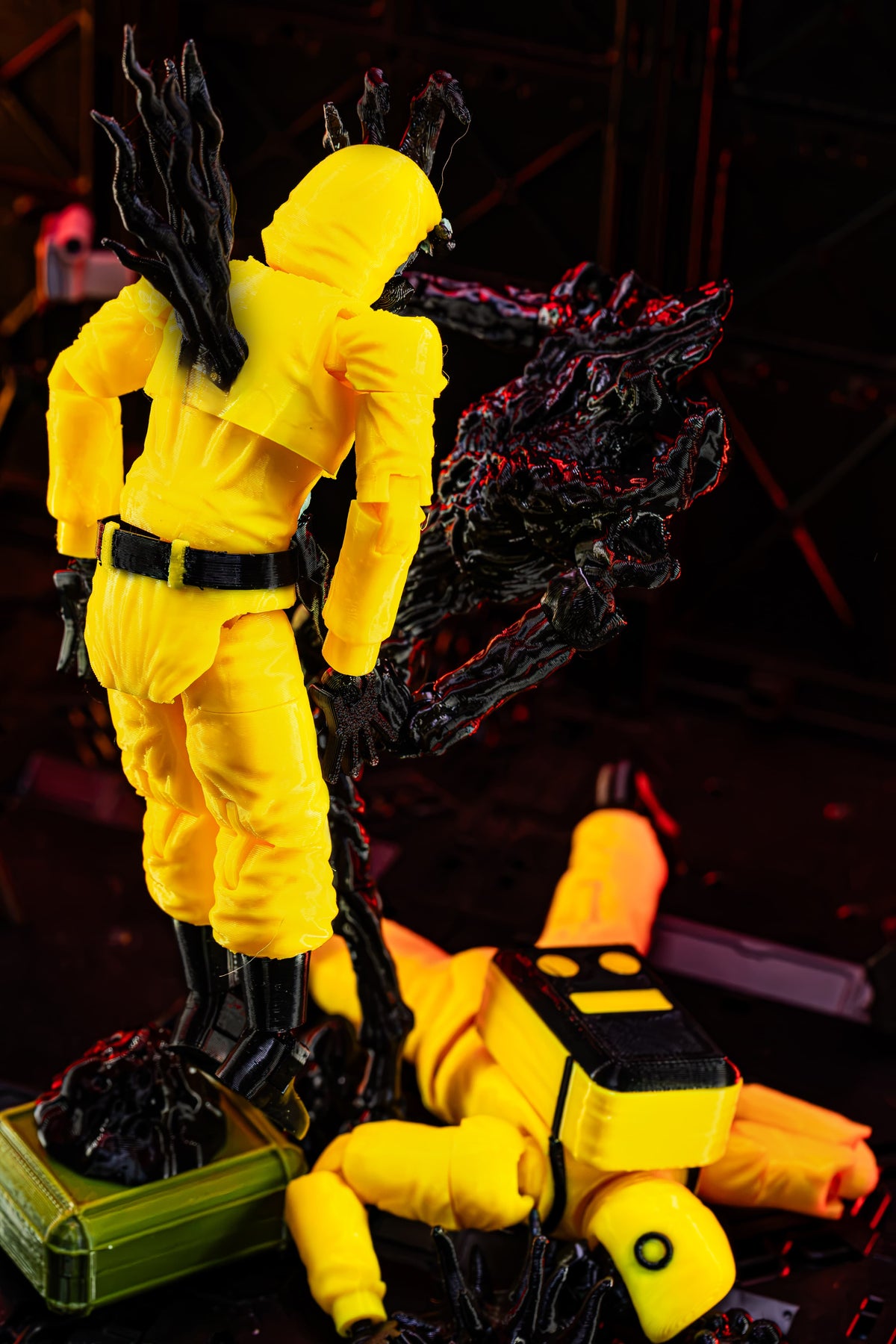 Bacteria Entity T13