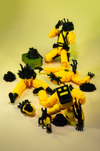 Bacteria Entity T13