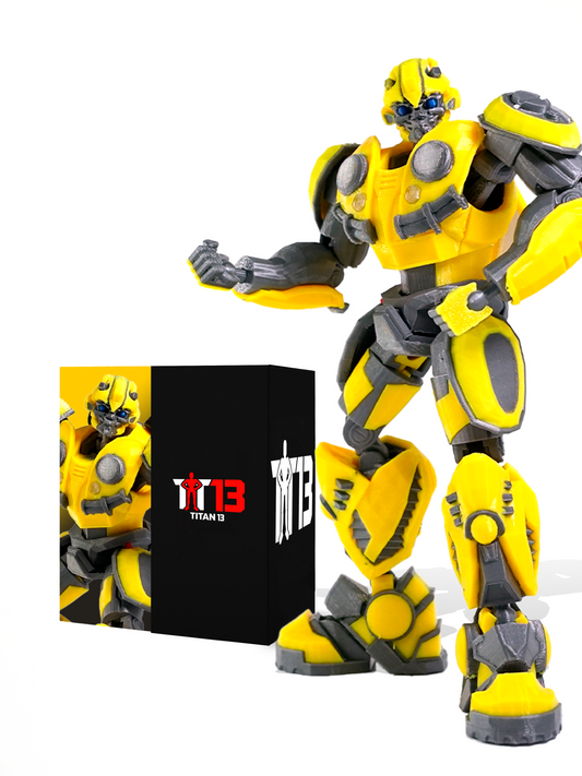 Bee T13