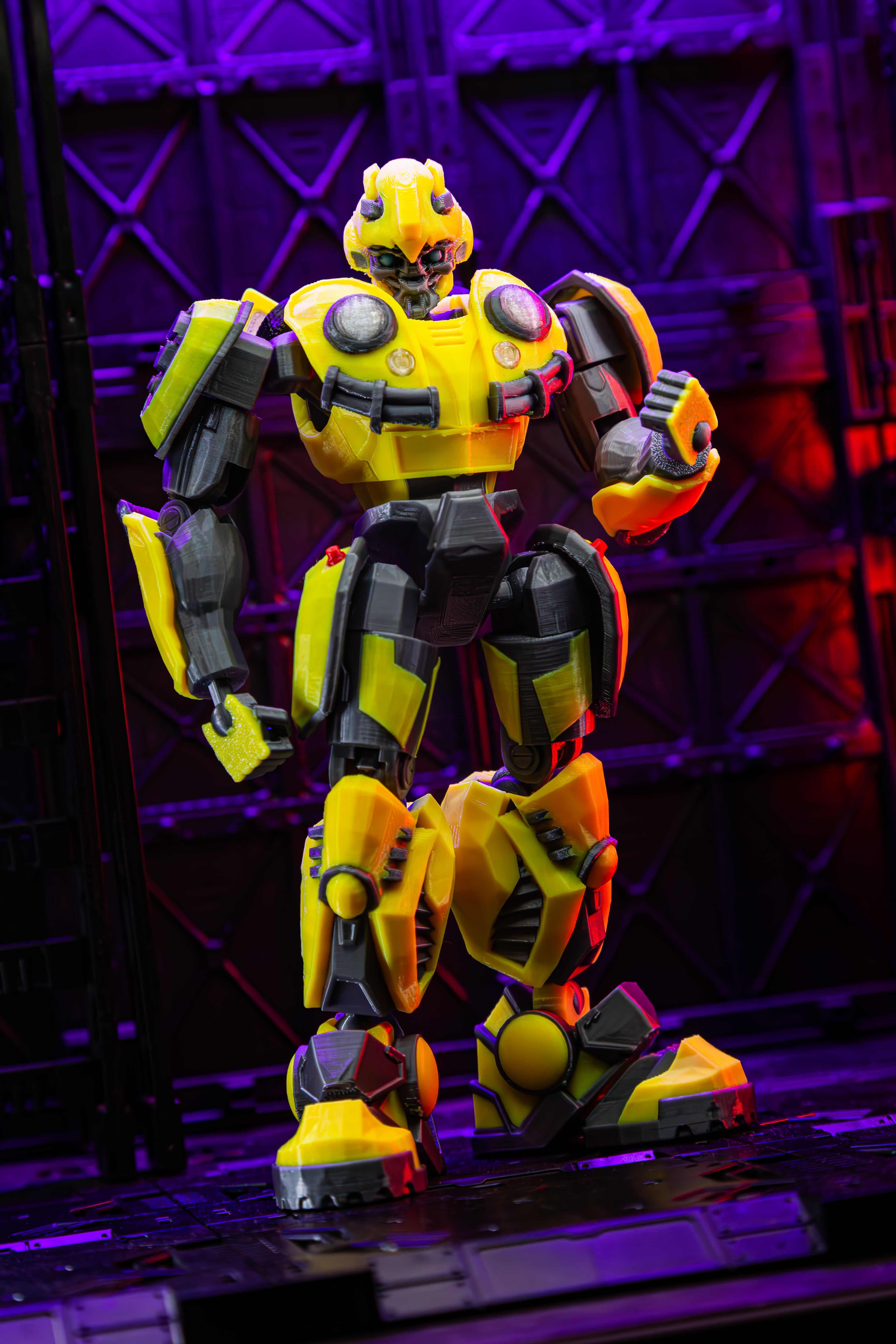 Bee T13