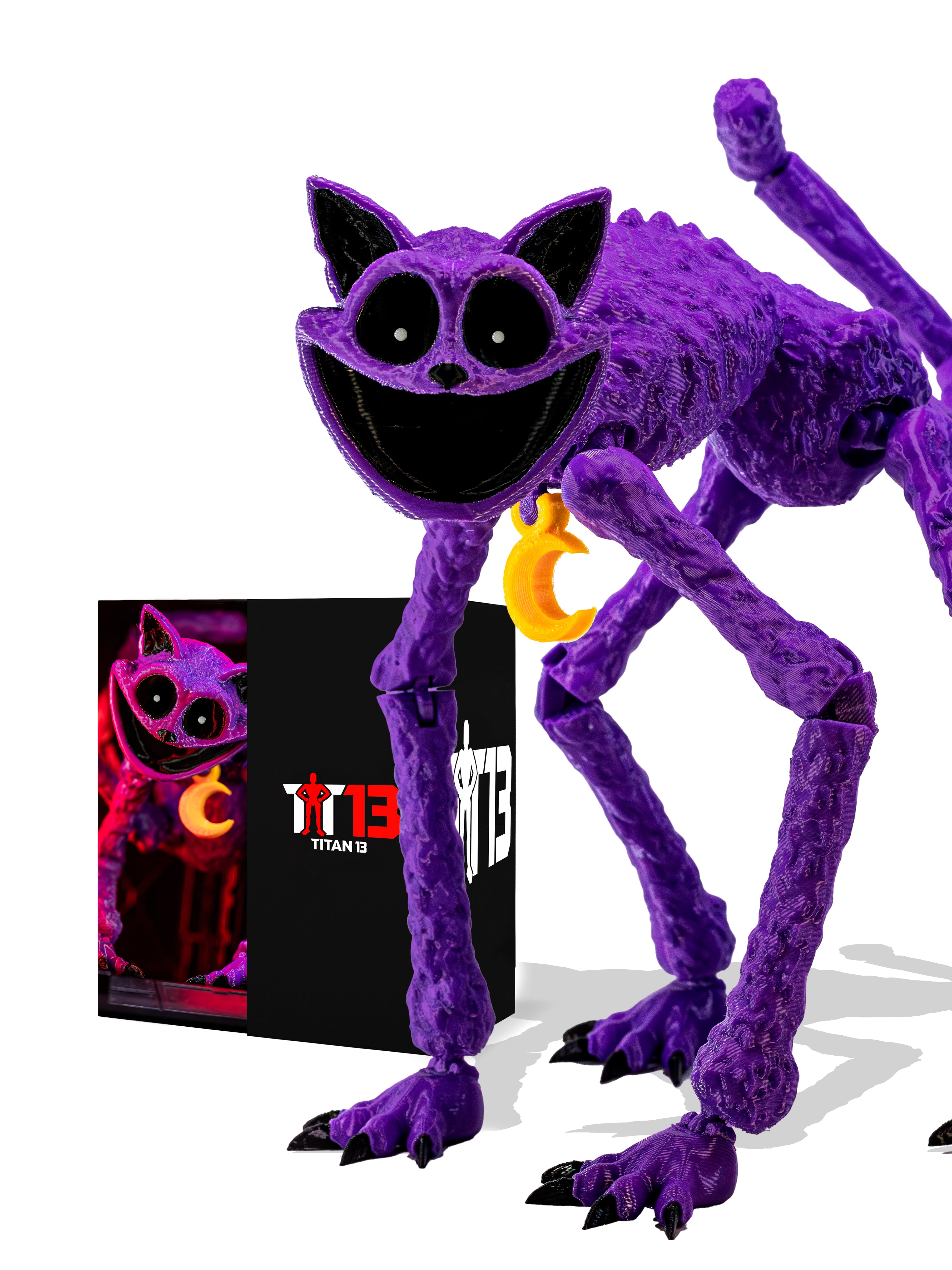 Nightmare Cat T13